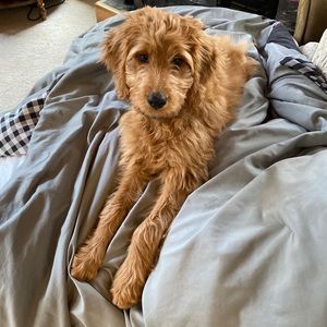 Meet your Posher, Karen